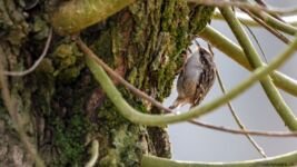 dwimages.nl