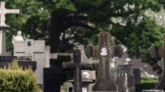 cemetery
